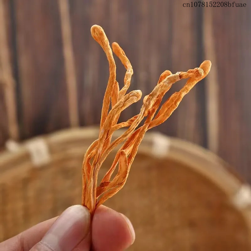 250g/500g Dried Cordyceps Flow - Chamomile Tea ulasan dan harga