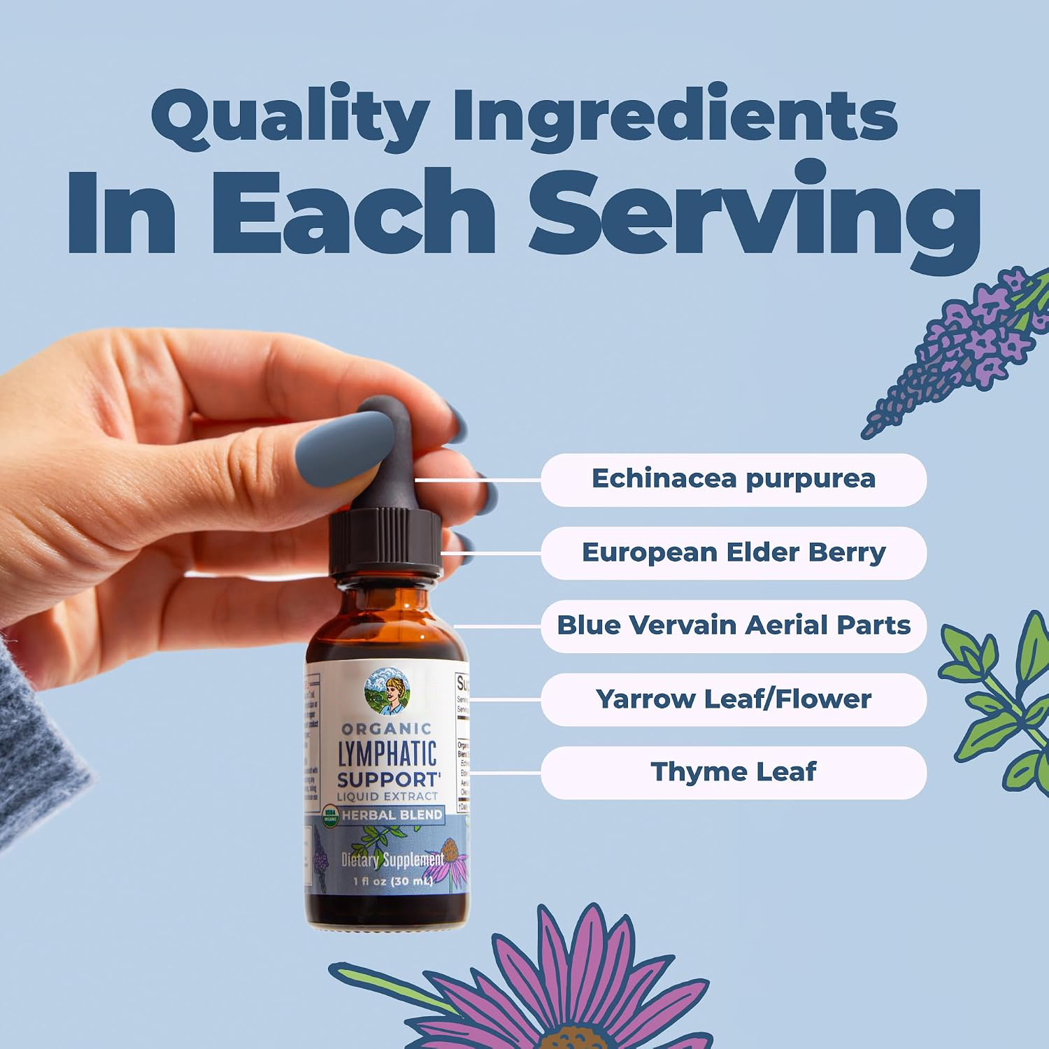 Organic Lymphatic Support Liqu - Echinacea ulasan dan harga