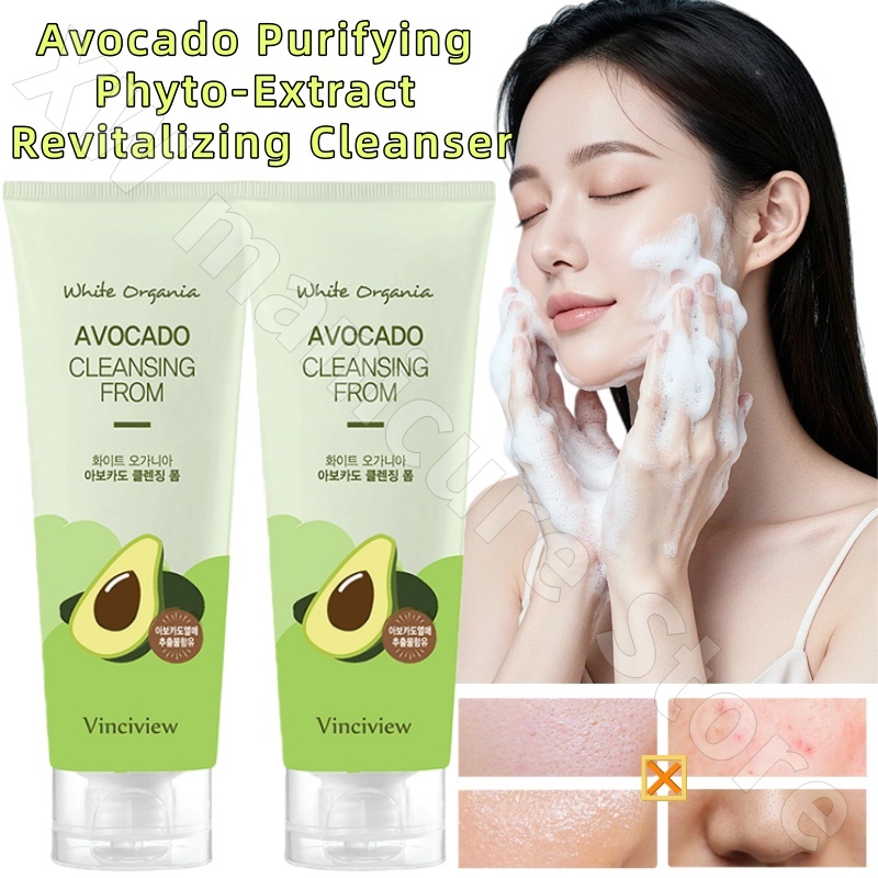 Korean Chamomile Tea Tree Avoc - Chamomile Tea ulasan dan harga