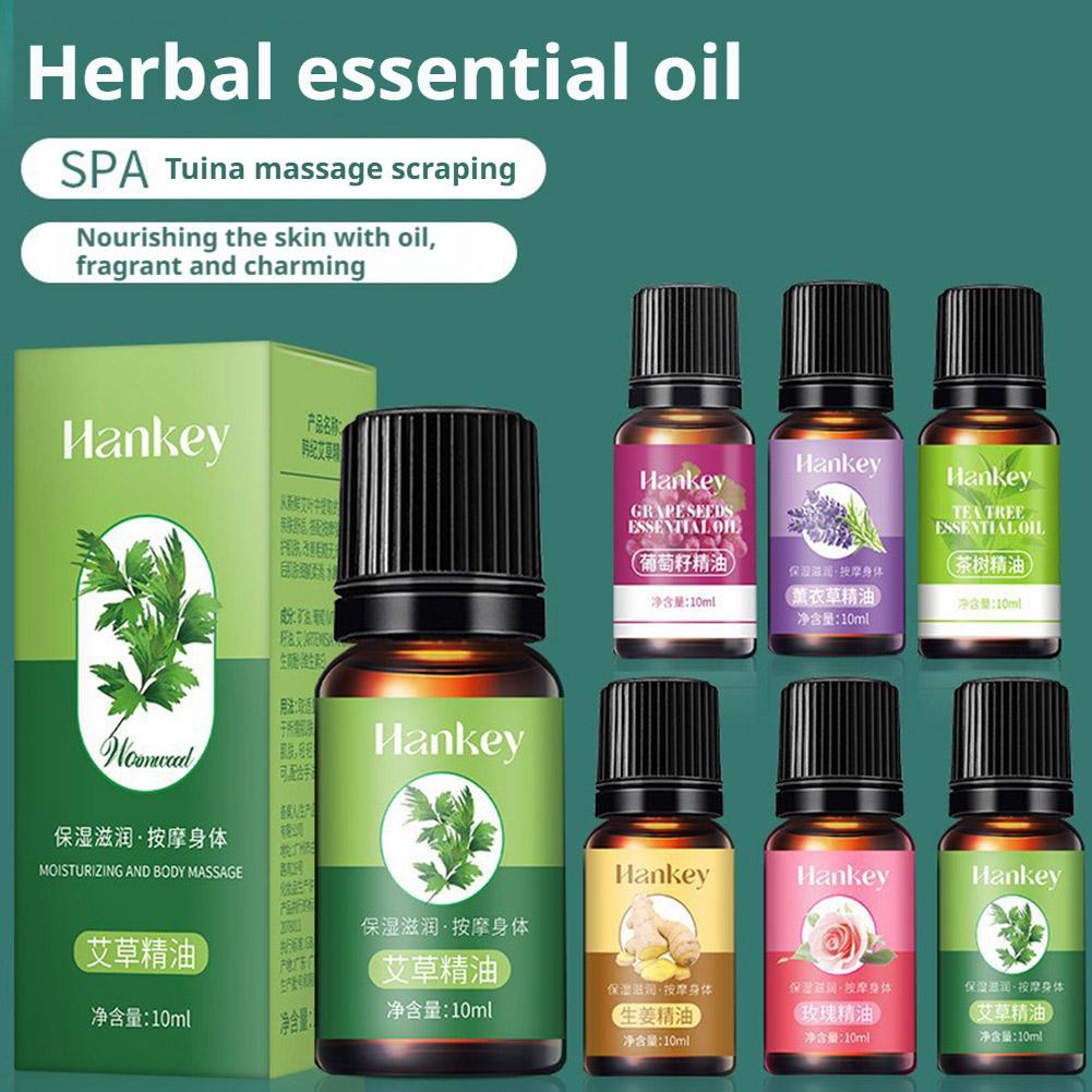 10ml Grape Seed, Mugwort, Lave - Lavender Oil ulasan dan harga